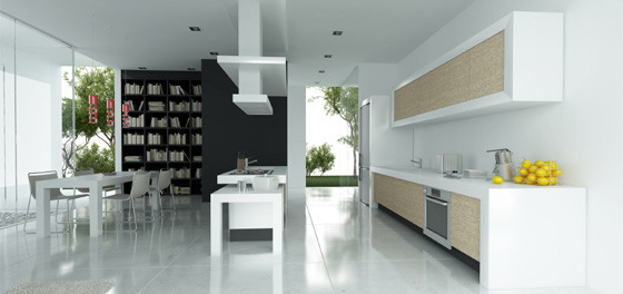 Contemporary Kitchen 5
